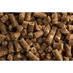 St.Hippolyt Super condition - 10 kg